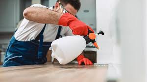 Best Pest Prevention Services  in Mccordsville, IN